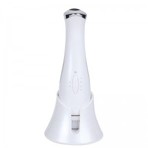 基底電気フェイシャルマッサージ